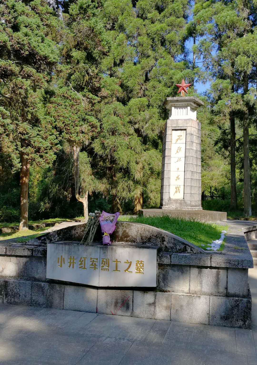 sc_202007_097623.jpg 22.jpg